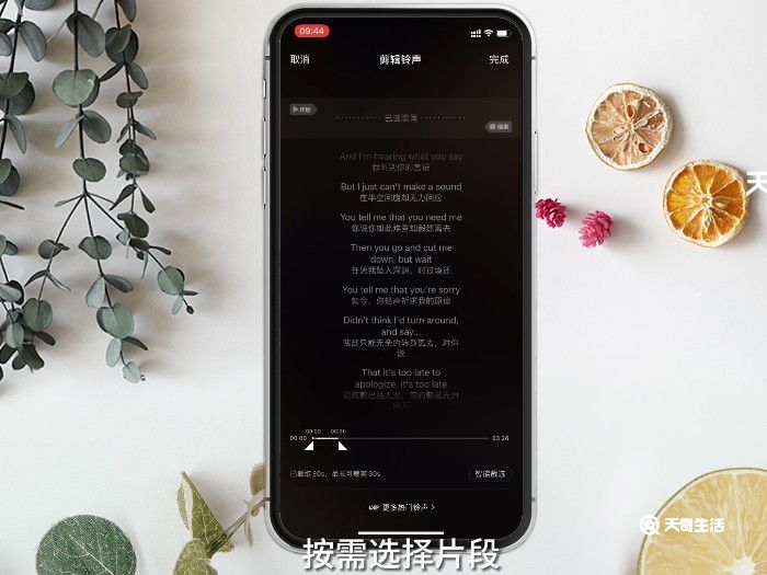 苹果铃声快版铃声快剪电脑版