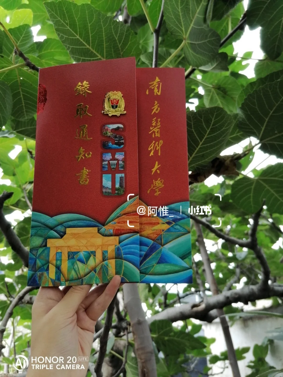 录取吧安卓版查询个人录取状态查询-第2张图片-太平洋在线下载