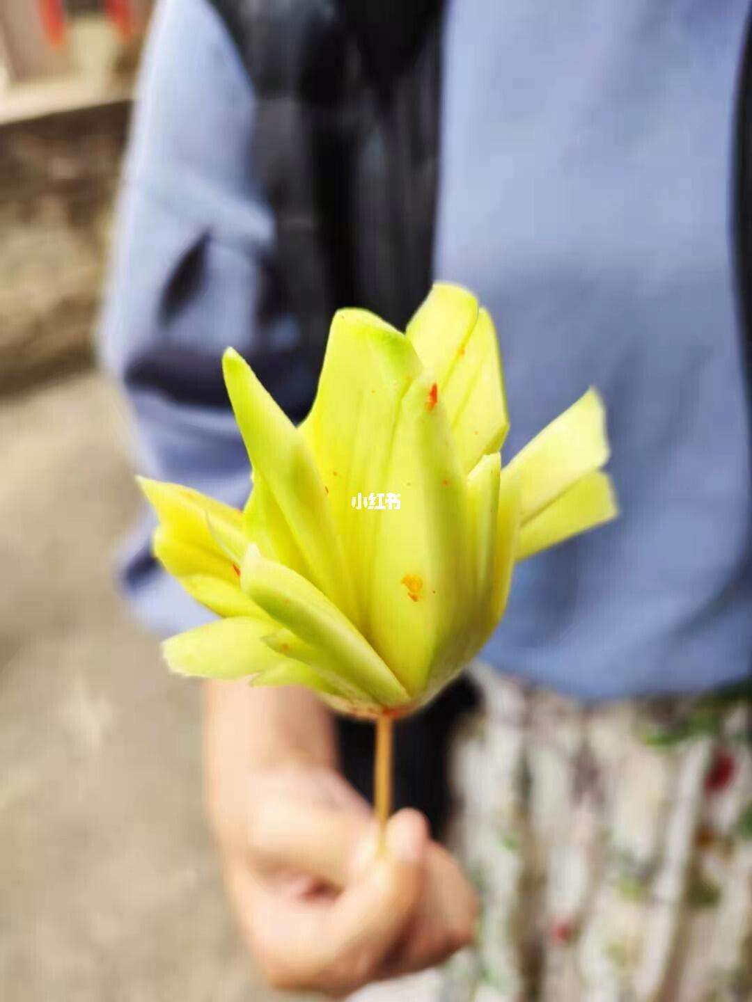 芒果花苹果版苹果手机芒果tv怎么投屏投不了-第2张图片-太平洋在线下载