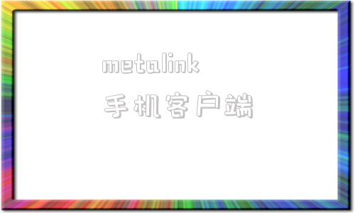 metalink手机客户端MetalDetector下载