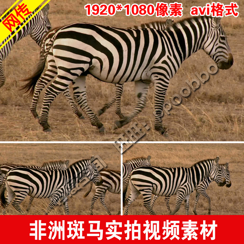 野马视频苹果版野马电影免费观看高清版-第2张图片-太平洋在线下载